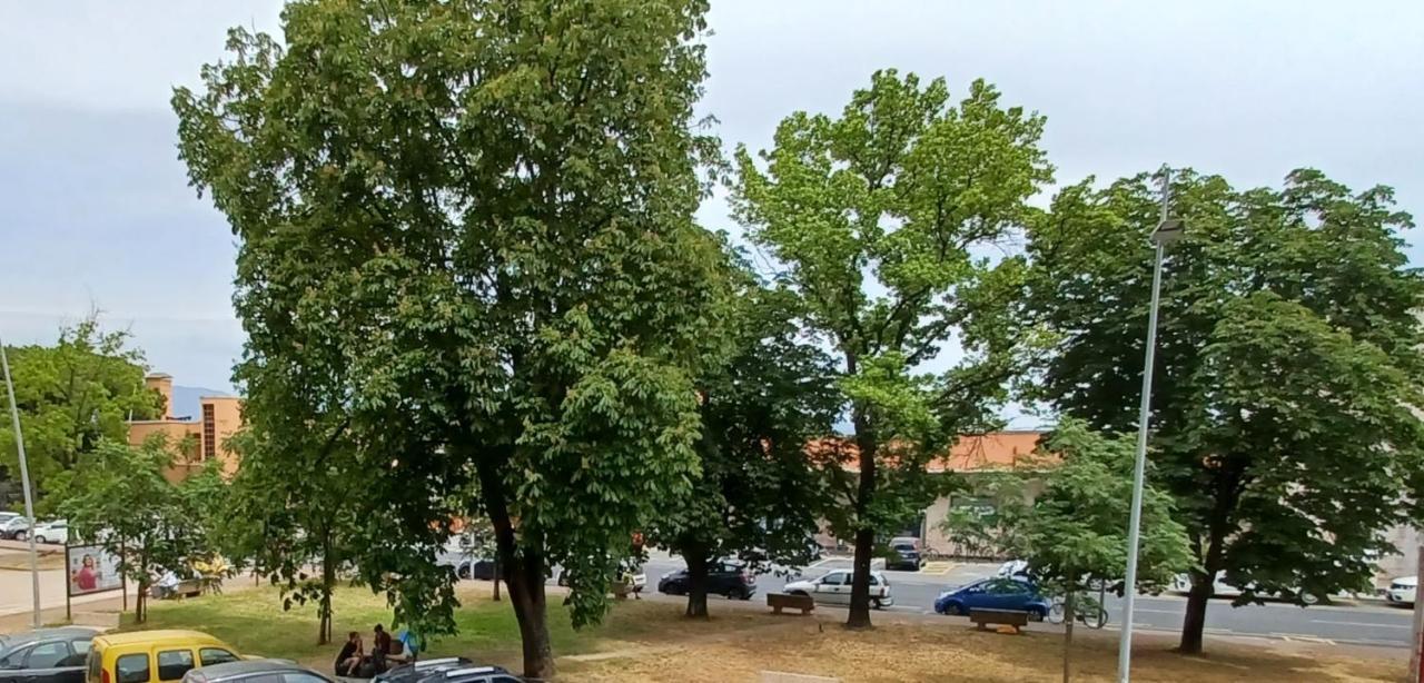 Luminosissimo Appartamento Viareggio Centro Экстерьер фото
